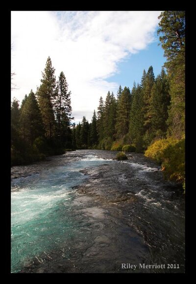 Metolius River.jpg