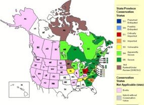 brook_trout_map_285_1.jpg