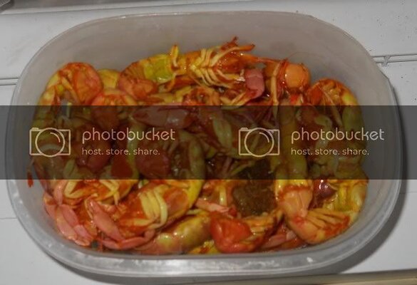 Curedshrimp1.jpg