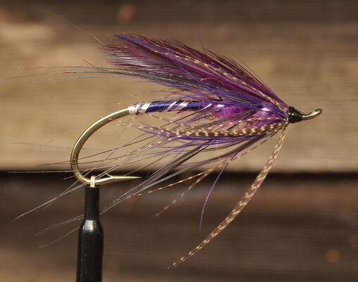 purple-featherwing-875-P9212099.jpg