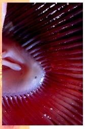 biol_02_img0187.jpg