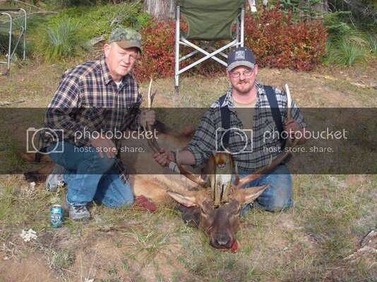 elk-cougar.jpg