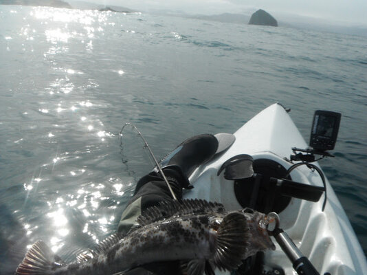 DSCF1064.jpg