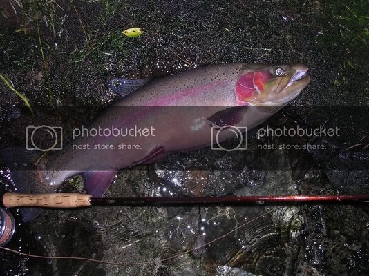 NZ11RainbowfromRotoitiTwo.jpg