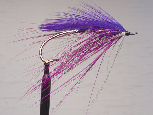 purple-featherwing-fly-900.jpg