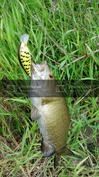 2012-07-01_16-40-14_620.jpg