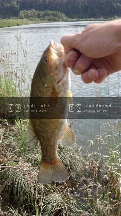 2012-07-01_16-49-58_996.jpg