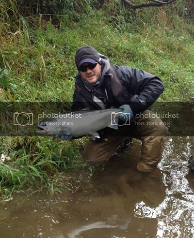 NestuccaCoho10-24-12.jpg