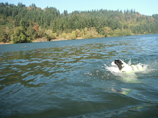 DSCF9014.jpg