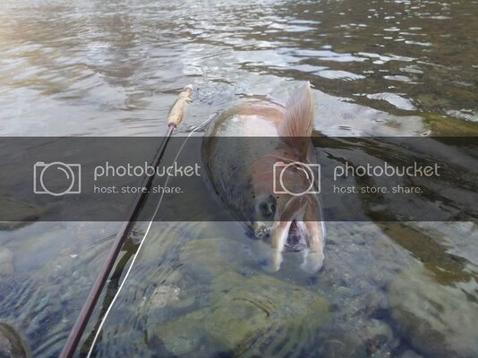 20130216_115946_zps84a65e53.jpg