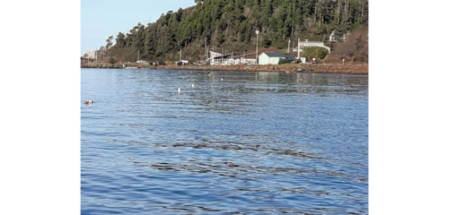 DepoeBayCrabbing12-31-2018.png DepoeBayCrabbing12-31-2018.png