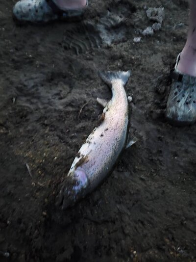 20200807_205049.jpg