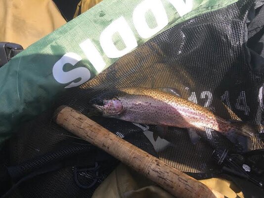 Trout fishing Trillium Lake