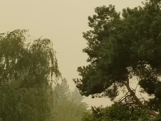 Smoke in Tres Home.jpg