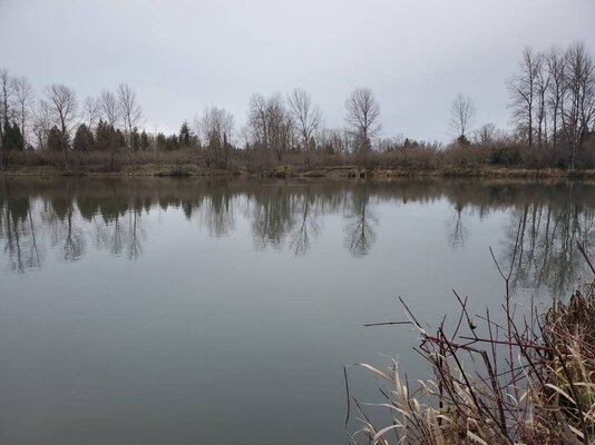 Alton Baker Canal Fishing Reports 2021 Alton Baker Canal Fishing Reports 2021