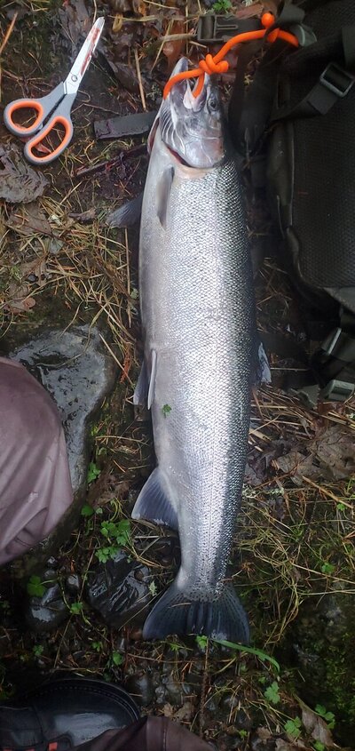 20201211_103026.jpg