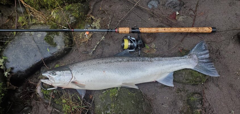 Steelhead rods