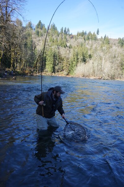 Steelhead rod