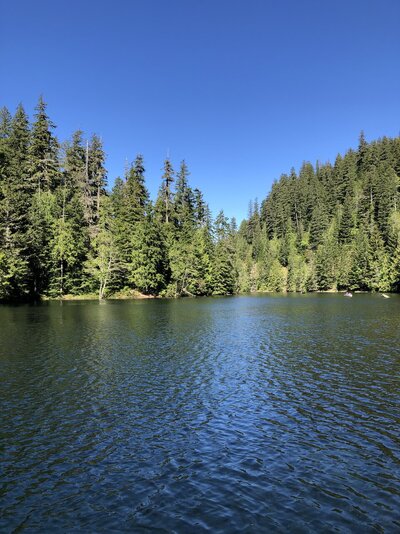 Harriet Lake Fishing Reports