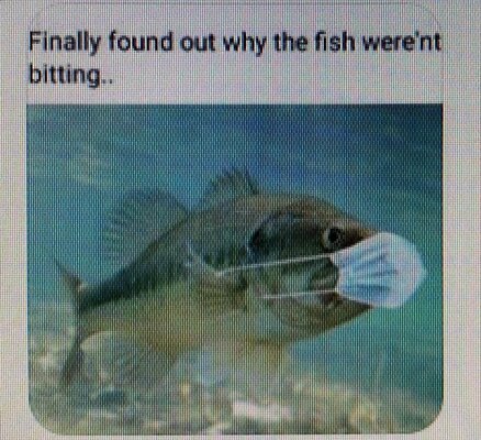 fish not biting.jpg