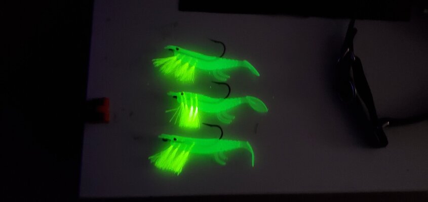 better shrimp fly.jpg