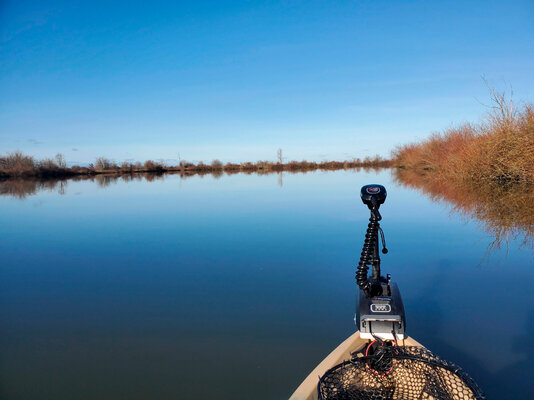 Bond Butte Pond Fishing Reports 2022