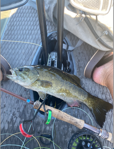 Smallmouth bass fishing near Eugene