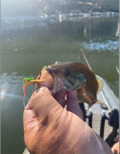 Smallmouth bass fishing around Eugene