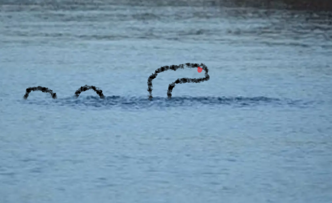 nessie.png