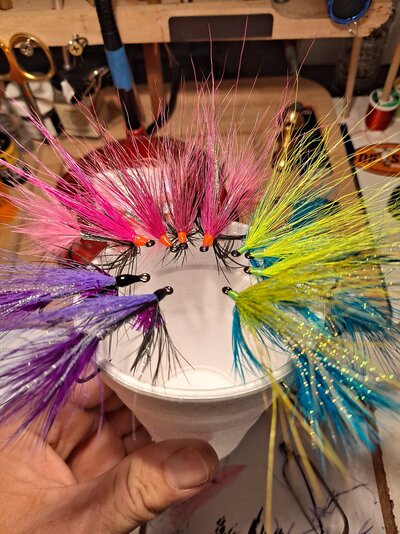 20210905_201222.jpg