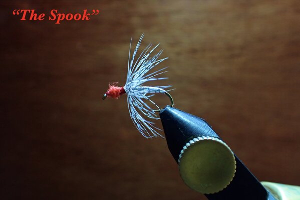 SIX_E0DB0A32-7422-4549-9C01-7EA1E1D4A608.jpeg