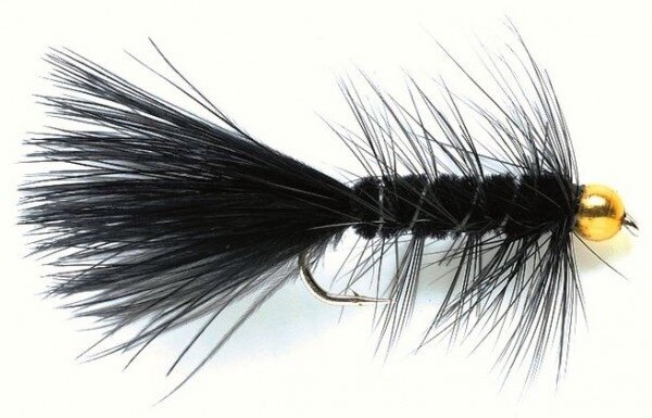 Wooly bugger