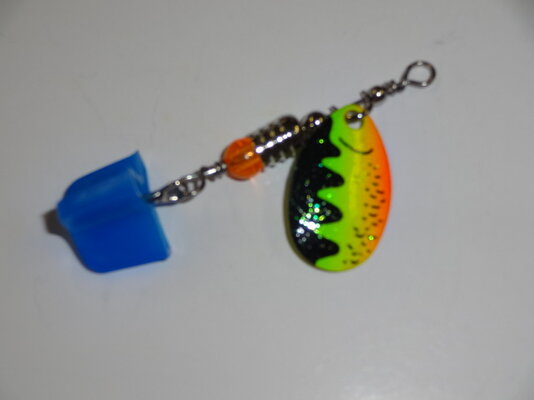 DSC04746.JPG