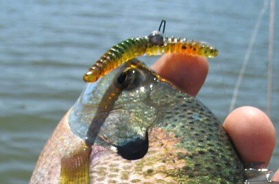 IMG_0038.jpg