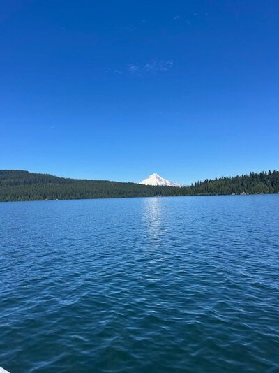 IMG_1084.jpg