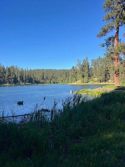 walton lake.jpg