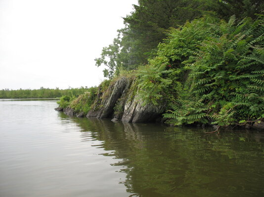 IMG_5295.JPG