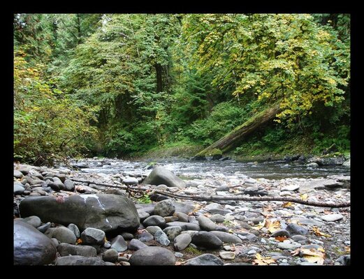 Fall Eagle Creek 001.jpg