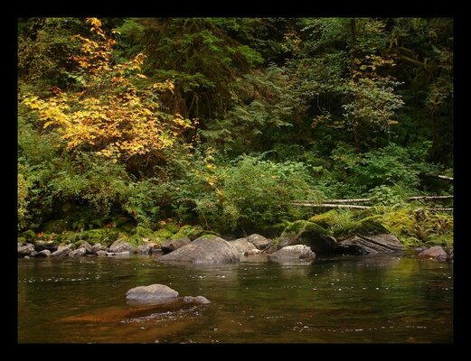 Fall Eagle Creek 004.jpg