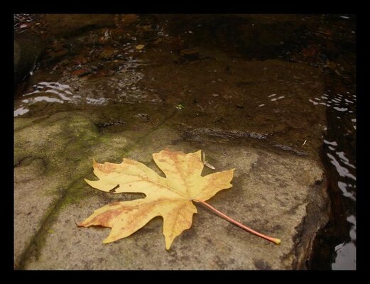 Fall Eagle Creek 005.jpg