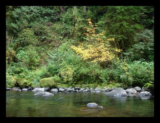 Fall Eagle Creek 002.jpg