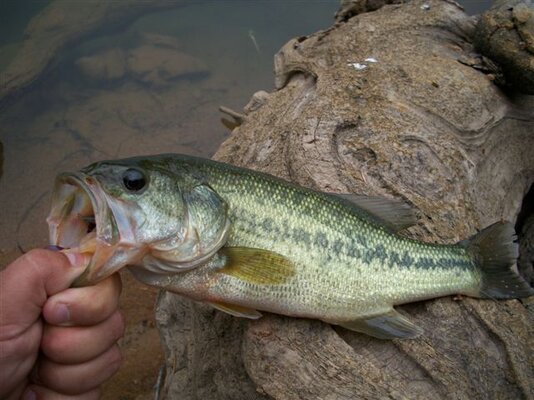 patrick fishing 044.jpg