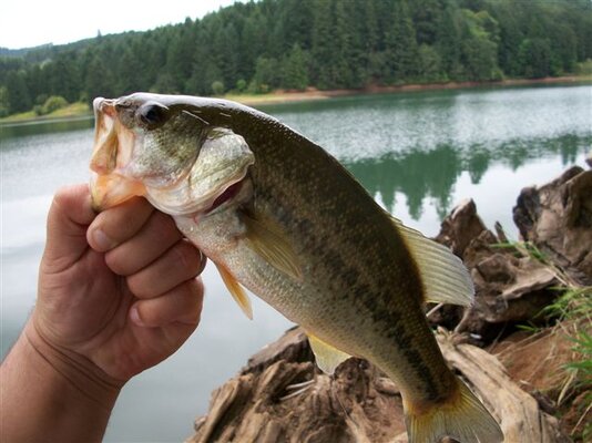 patrick fishing 043.jpg