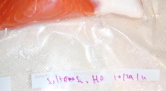silt fish2.jpg silt fish2.jpg