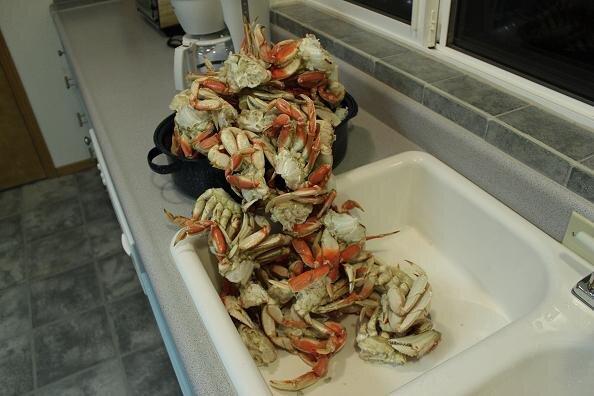 Crab.jpg Crab.jpg