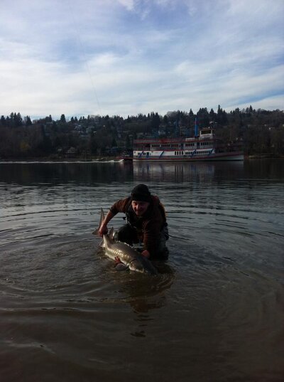 Kayak Gator.jpg