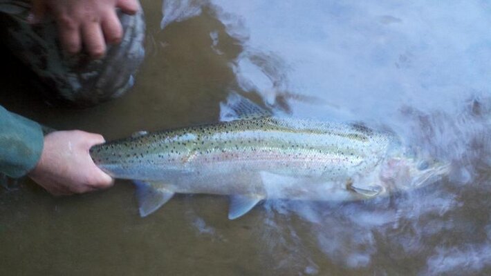 2012-01-04_17-28-56_384.jpg