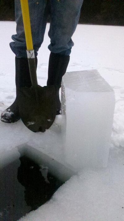 2012-01-14_10-56-35_332.jpg