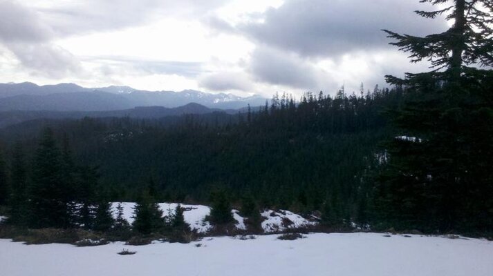 2012-01-14_10-05-07_796.jpg