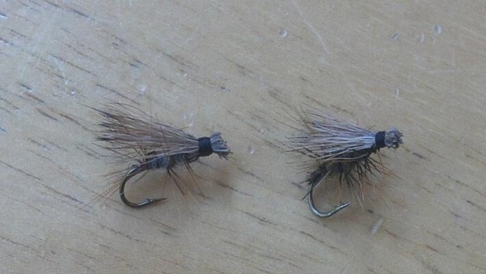2012-04-02_12-39-50_59.jpg